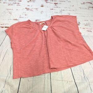 Madewell boxy style crop top
